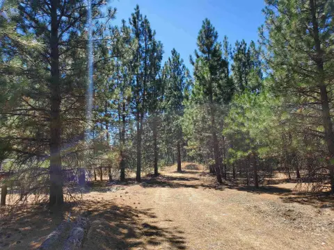 5 Acres in Greenview, CA
