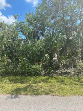 Wooded Lot in Punta Gorda