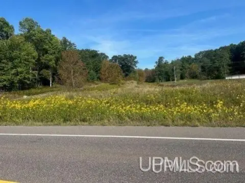 Lake Antoine Vacant Land