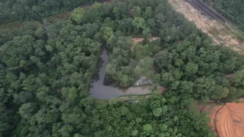 Wooded Hunting Land with Creek