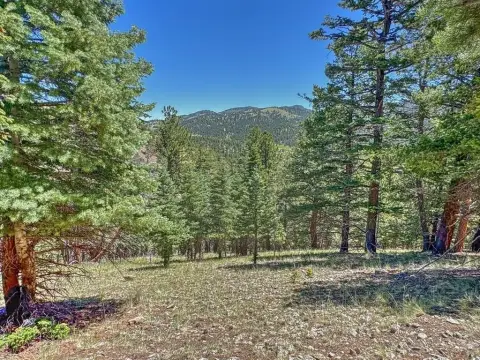 Colorado Mountain Land For Sale