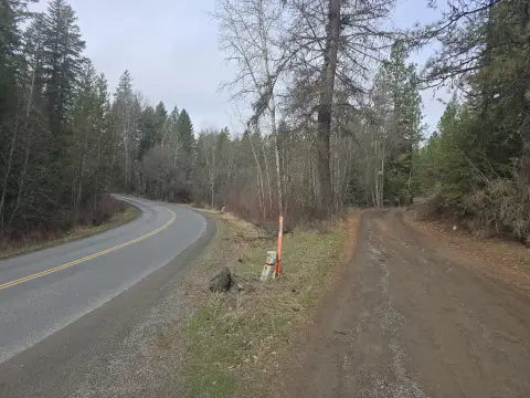 37 Acres Timbered Land Parcel