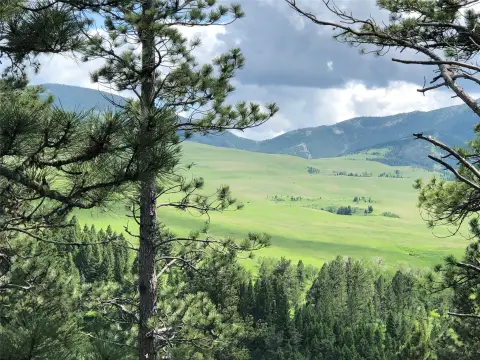 Timbered Recreational Land with Views