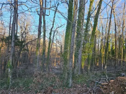 4+ Acres Wooded Land, Conyers