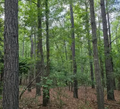 Privately Located Hunting Land