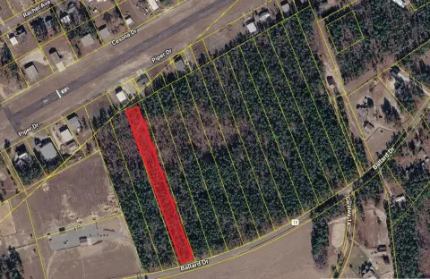 Vacant Land Parcel with Trees