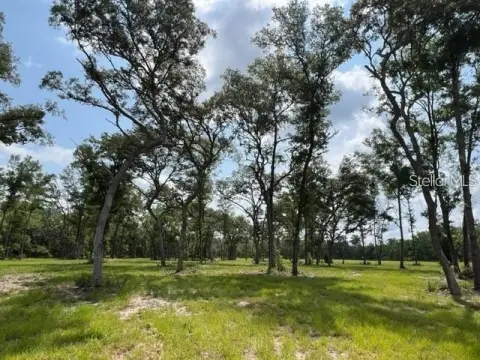 Equestrian Land Near WEC, Ocala