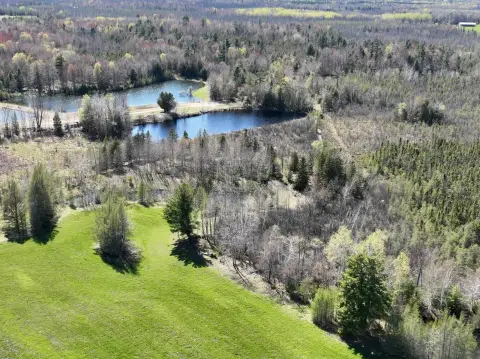 Versatile Land with Multiple Ponds