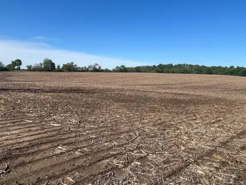 Tillable Farmland with Wooded Acreage