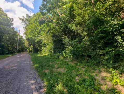 Level Lot in Etowah, TN