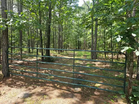Recreational Hunting Land with Cabins