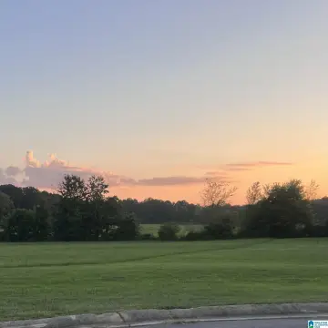 Residential Lots in DORA, AL