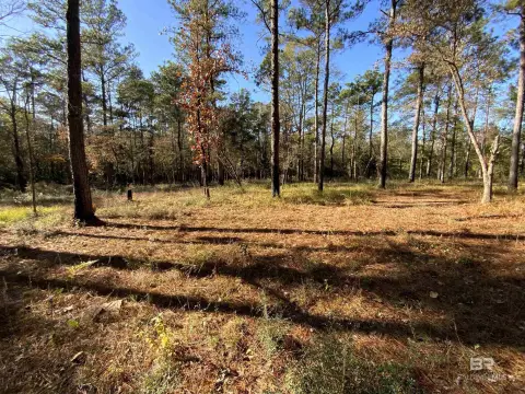 10 Acre Homesite in Bay Minette