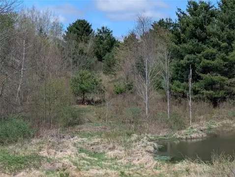 Land in Johnson City, NY