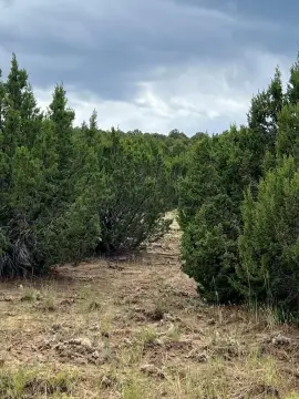 Land For Sale in Walsenburg