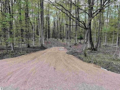 Residential Land with Mature Timber