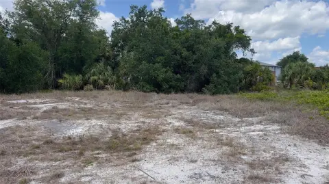 Commercially Zoned Vacant Lot