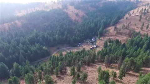 Treed Land with Great Views