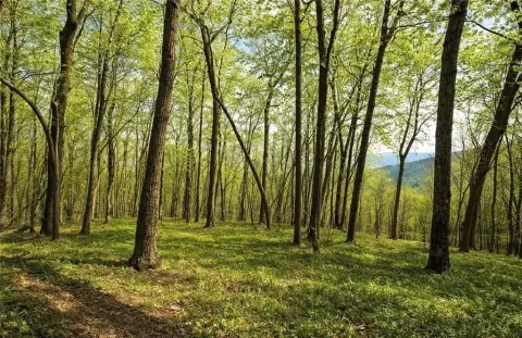 Jasper Homesite in Gated Community