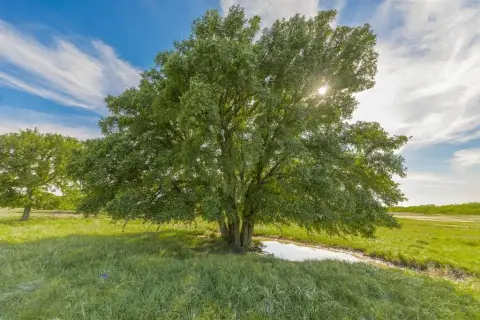 Texas Ranch with Varied Terrain