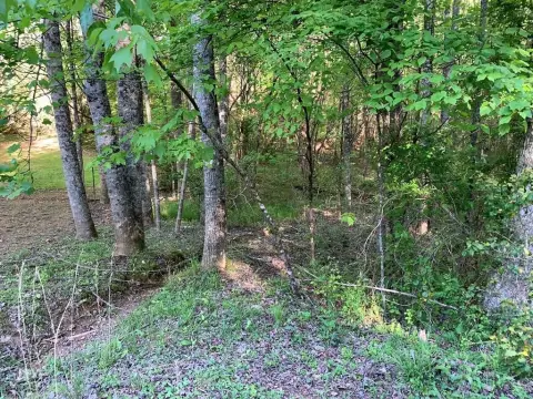 Wooded Lot in Murphy, NC