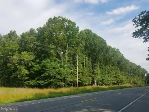 Expansive Land in La Plata