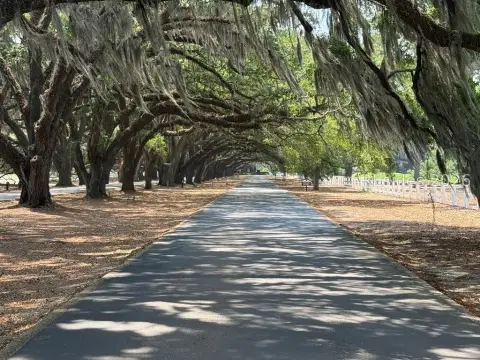 Residential Lot in Belfair Community