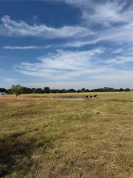 Agricultural Land with Pond