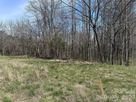 32.9 Acres in Davie County