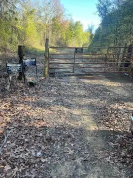 Wooded Recreation Land