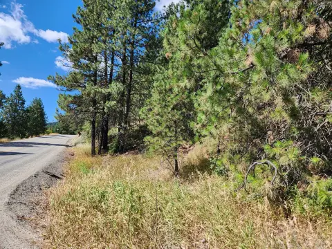 Republic, WA - Acreage Parcel