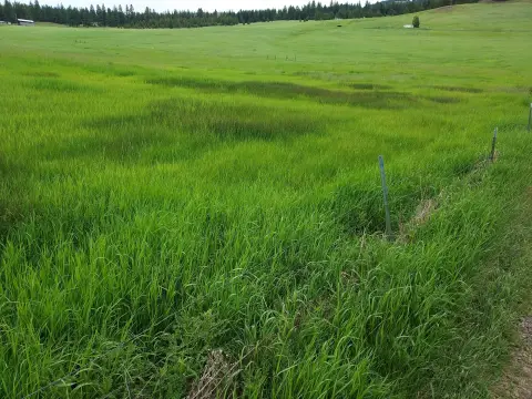 Pastoral Acreage in Republic, WA