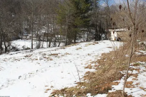 Landscaped Lot with Utilities