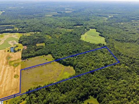 Wooded Hunting Land With Cabin