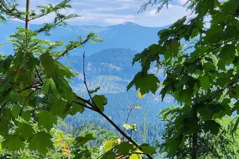 Recreational Hunting Land Parcel