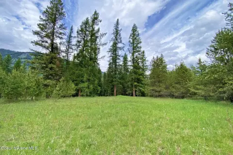 Recreation Land with Creek Corridor