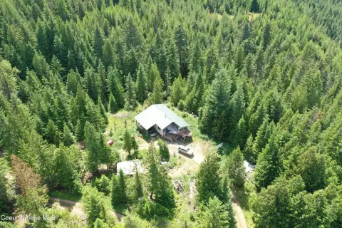 Timbered Waterfront Hunting Land