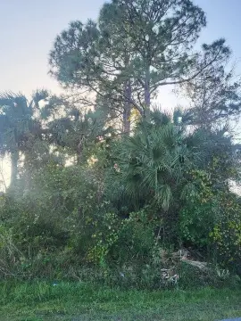 Vacant Lot in Palm Coast