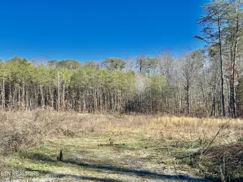 Land in Tellico Plains, TN