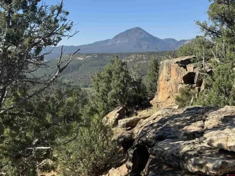 75.8 Acres Near Cortez, Colorado