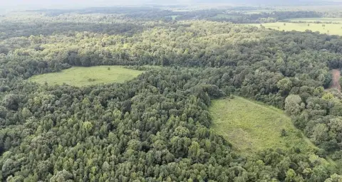 Secluded Hunting Land