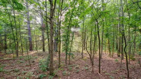 Residential Land in West Olive