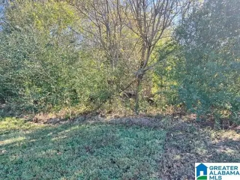 Pell City Acreage For Sale