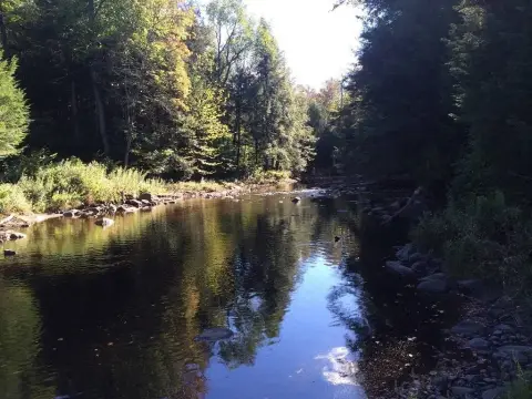 Hunting and Fishing Land Parcel