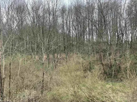 Residential Land Near Buckhannon, WV