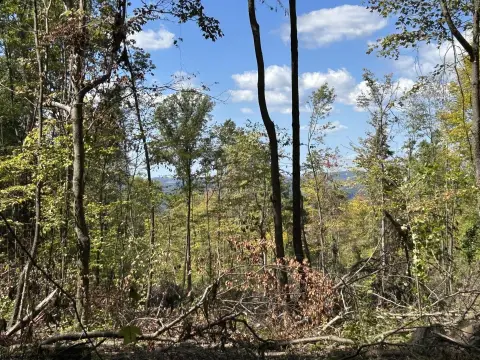 Terra Alta Wooded Acreage