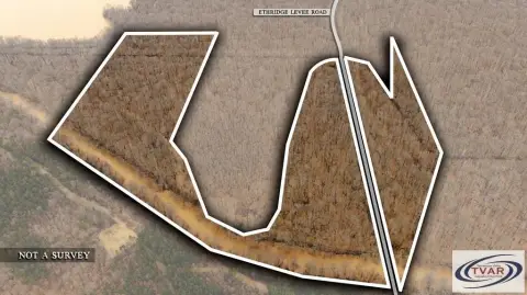 Greenfield Timber Tract for Recreation