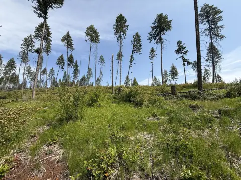 20 Acres with Mountain Views