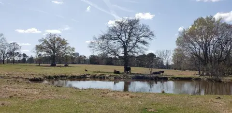 Edgefield Land with Two Ponds