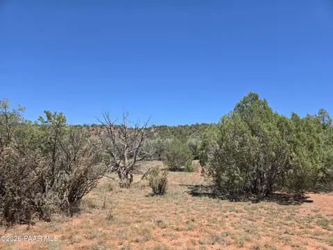 Treed High-Desert Recreation Land